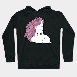 A very nice horse and pony dressage Hoodie